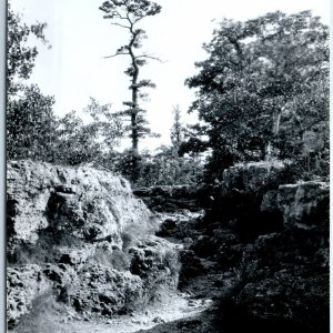 c1950s Strawberry Point, IA RPPC Backbone State Park Sentinel Pine Tree PC A109