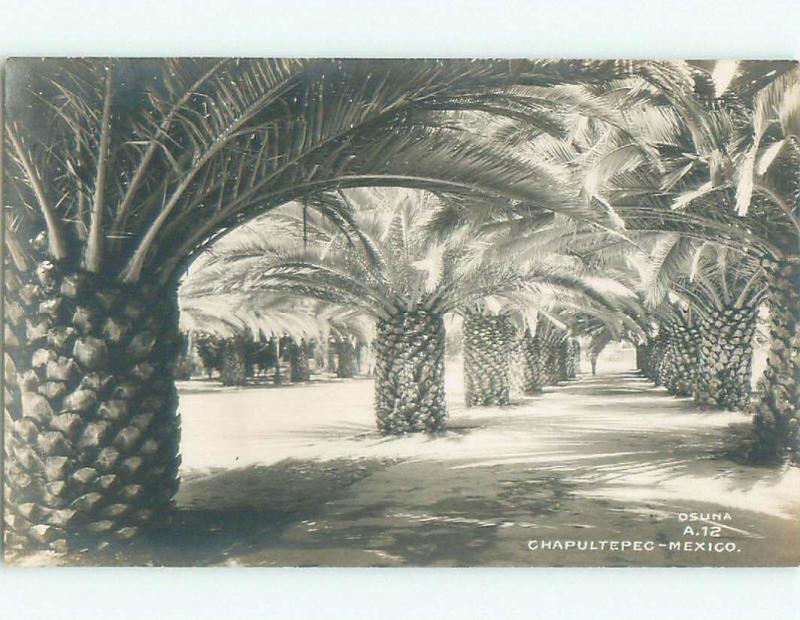 old rppc NICE VIEW Bosque De Chapultepec In Mexico City Mexico i2437