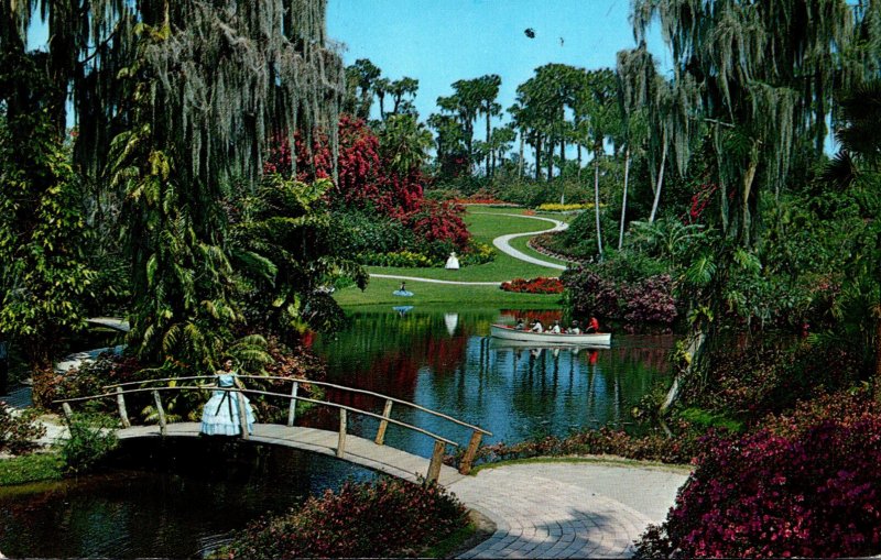 Florida Cypres Gardens Showing Blooming Flowers and Trees 1977