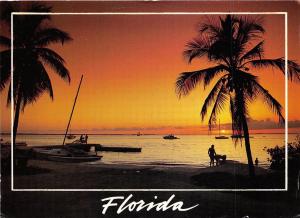 BF36371 florida tranquil palms and beautiful beaches  USA  front/back scan