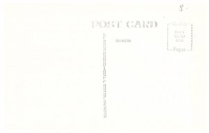 Lincoln Grade School Princeton Illinois RPPC Postcard 3A182