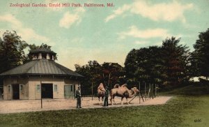 Vintage Postcard 1910's Zoological Garden Druid Hill Park Baltimore Maryland MD