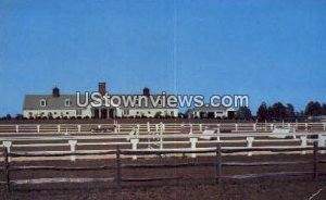 Mile-Away Farms - Misc, North Carolina NC Postcard