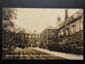 Cambridge: QUEEN'S COLLEGE, WALNUT TREE COURT c1914 Pub By F. Frith & Co 140515