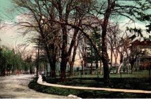 Cranford NJ Riverside Drive Postcard New Jersey