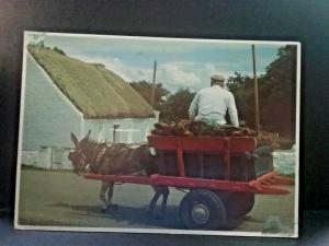 Postcard RPPC  Bringing Home The Turf  in Ireland     Z3