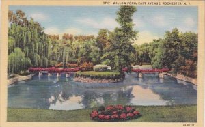 Willow Pond East Avenue Rochester New York