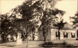 View of Residences on Main Street, Naples Maine Vintage Postcard P10