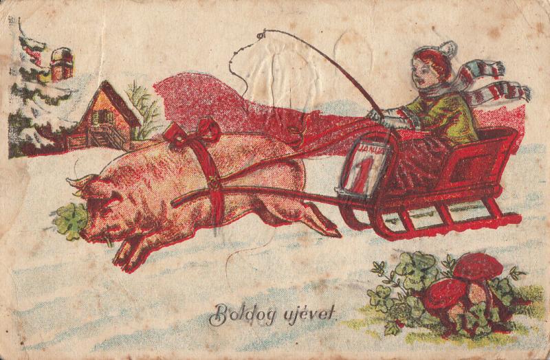 Hungary New Year fantasy greetings postcard luck pig sledge mushroom shamrock