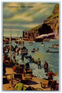 Heimaey Iceland Postcard Vestmannaeyjar (Westman Islands) c1940's Vintage