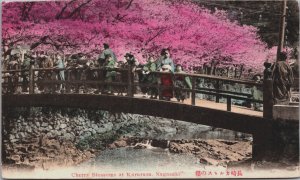 Japan Cherry Blossoms at Kurusu Nagasaki Hand Tinted Postcard C156