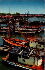 Shrimp Boats Gulf Coast Vintage Postcard Standard View Card 