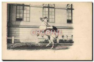 Old Postcard Saumur Horse Equestrian Jumper in freedom fanciful Courbette