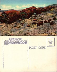 Petrified Forest, Az. (14487