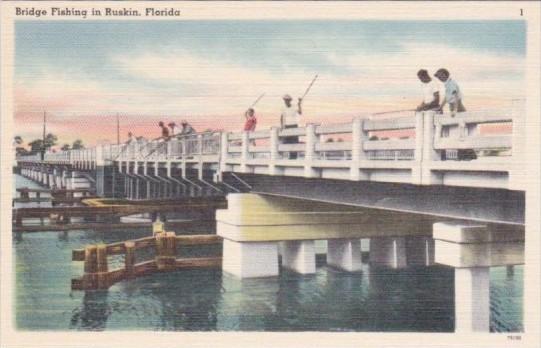 Florida Bridge Fishing In Ruskin