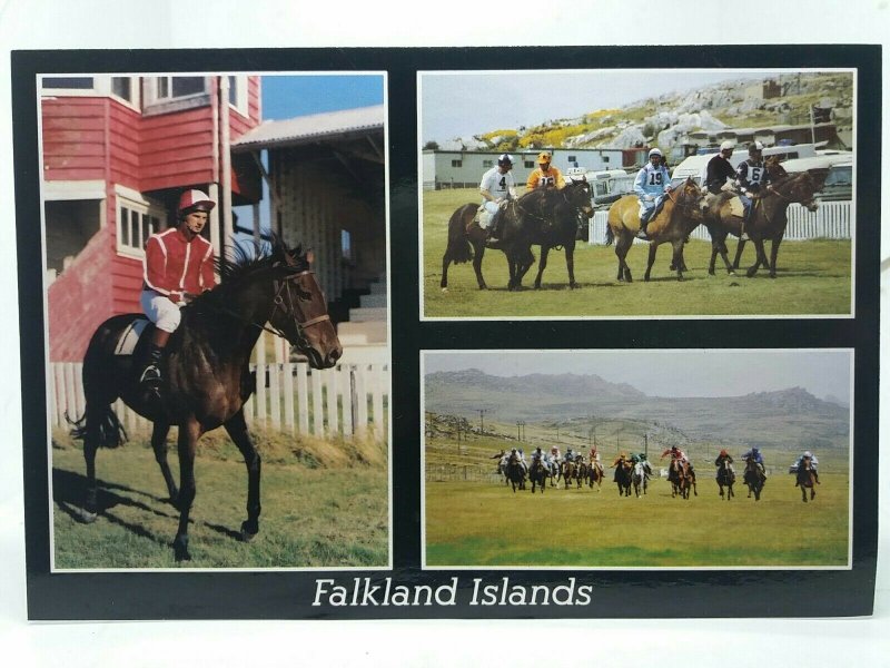 Stanley Sports Association Race Meeting Postcard Falkland Islands Horse Racing