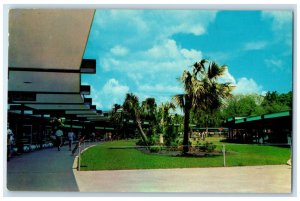 1962 Florida's Silver Springs, Home of Glass Bottom Boats, FL Postcard