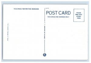 C1915-20 Excursion Steamer Mississippi Quincy Ill. Postcard P173E