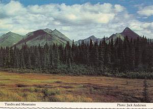 BF26785 tundra and mountains alaska USA  front/back image