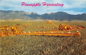 HAWAII 1975 Postcard Libby Pineapple harvesting Farm Machinery