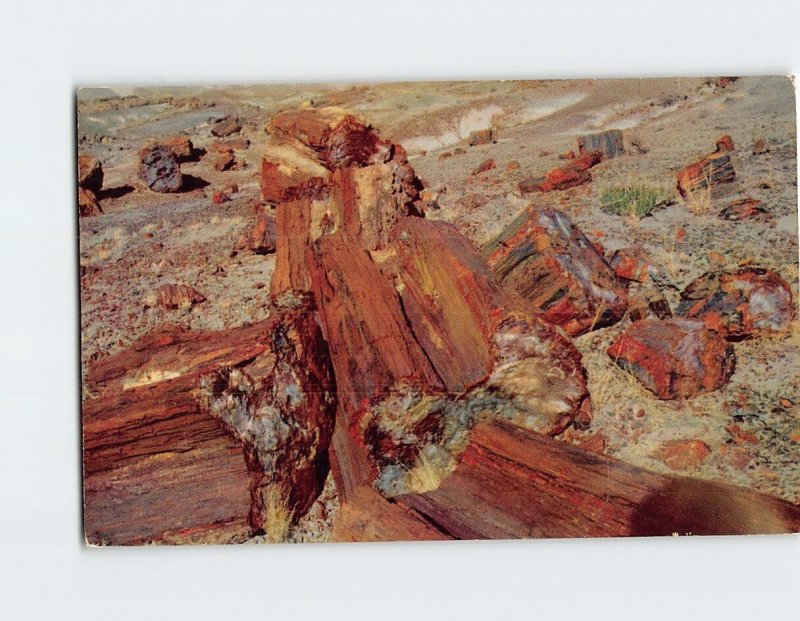 B-184569 Petrified Wood Petrified Forest National Monument Highway 66 Arizona