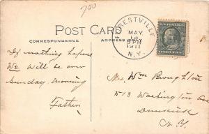New York NY Postcard DUNKIRK Chautauqua County 1911 SWAN STREET Homes 19
