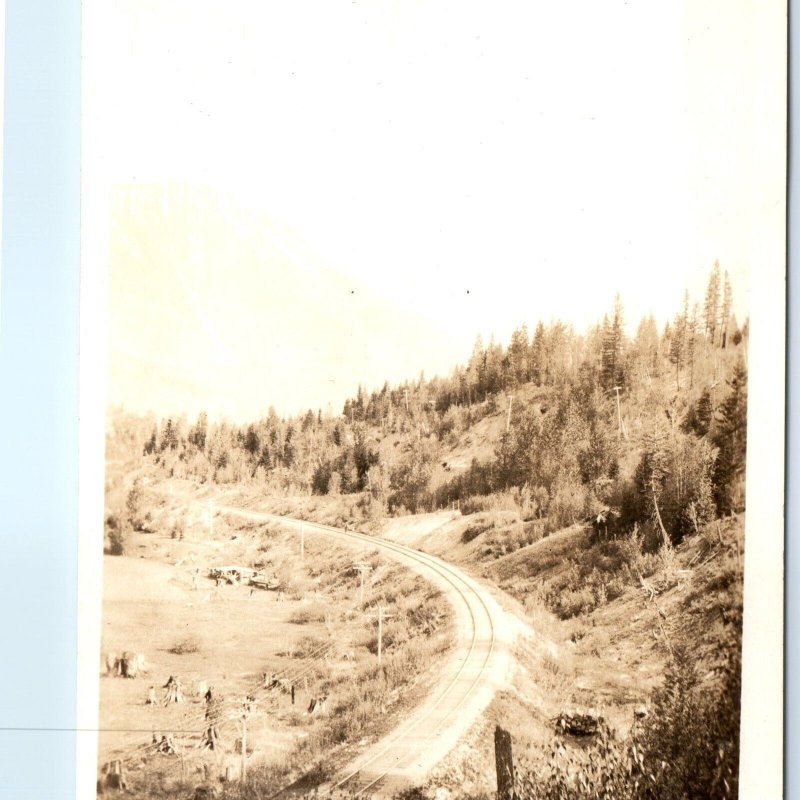 c1920s Unknown Mountain Railway RPPC Track Forest Real Photo Postcard CO? A95
