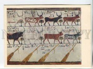 455153 USSR 1974 year painting ancient Egypt bull and seven heavenly cows