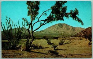 Sierra Blanca Mountain El Paso Texas TX UNP Unused Chrome Postcard A12