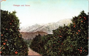 Oranges Snow Mountain Antique Postcard DB UNP WOB Note 