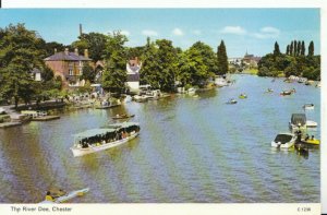 Cheshire Postcard - The River Dee - Chester - Ref 9521A
