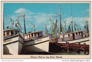 Florida Key West Shrimp Fleet In Key West