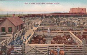 Oregon Portland Cattle At The Union Stock Yards