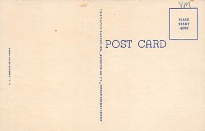 Texas Cowboy Skinning a Jack Rabbit View Postcard Backing 