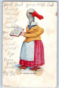 Lansing Iowa IA Postcard Anthropomorphic A Young Goose c1905 Posted Antique