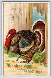 c1910's Thanksgiving Greetings Turkey Julius Bien Embossed Antique Postcard