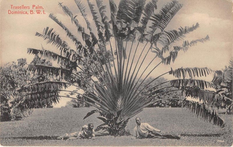 US34 postcard Dominica former British West Indies travellers palm Hotel de Paz