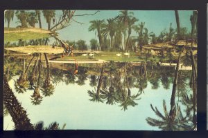 Los Angeles, California/CA Postcard, Palm Island, Busch Gardens