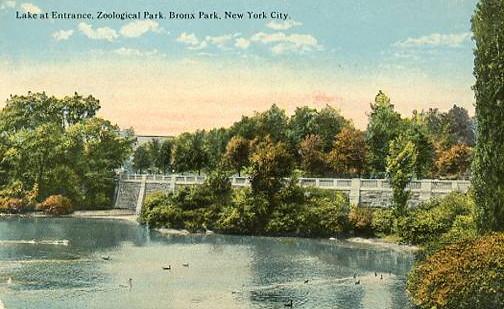 NY - Bronx Park. Lake at Entrance, Zoological Gardens