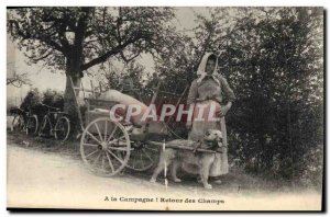 Old Postcard Car has the dog back campaign Folklore TOP fields