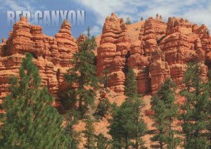 America Postcard - Red Canyon , Utah RRR255