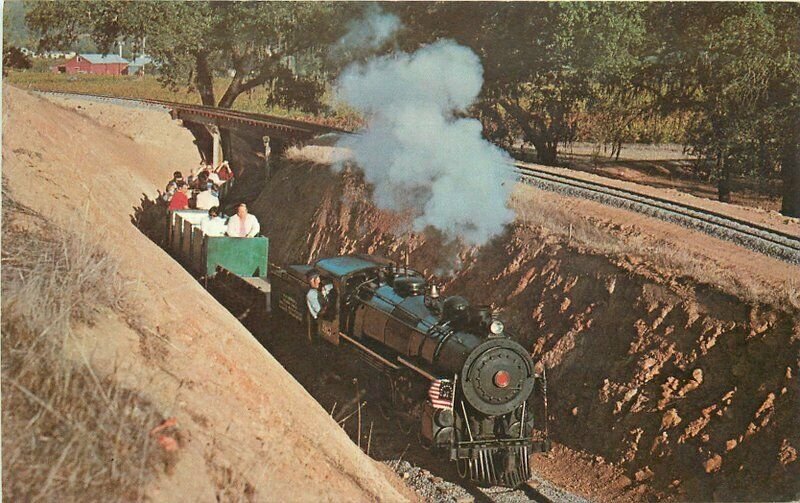 Calistoga Steam miniature  Railroad Postcard 1950s Napa Valley California 9084