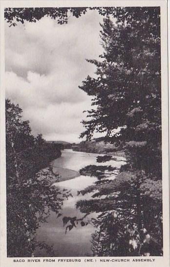 Maine Fryeburg Saco River From Fryeburg New Church Assembly Albertype