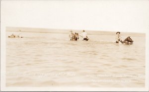 Cowboys & Horses Cooling Off Western Canada #21 AE Brown RPPC Postcard H36