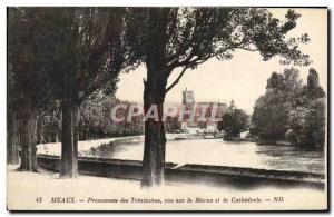 Old Postcard Meaux Promenade Trinitarian view of the Marne and the Cathedral