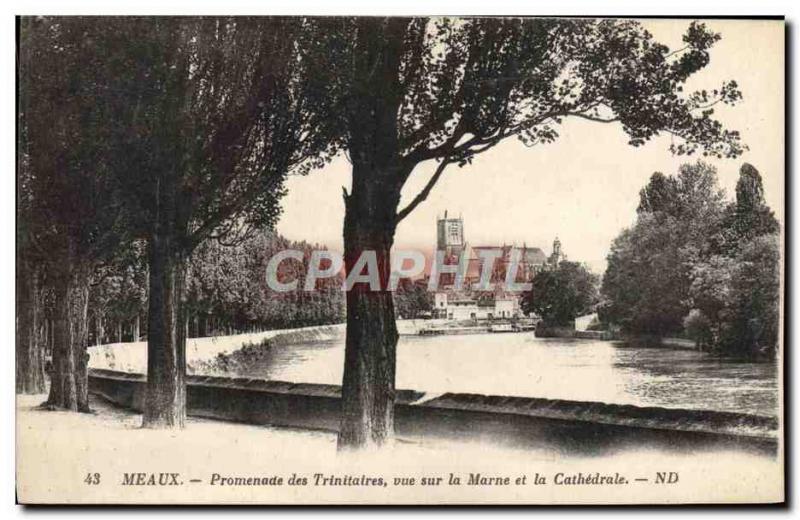 Old Postcard Meaux Promenade Trinitarian view of the Marne and the Cathedral