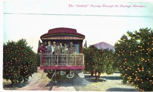 Postcard Ca The Limited Passing Through The Orange Groves