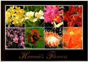 Hawaii Flowers Multi View 1991