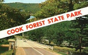 Vintage Postcard Cook Forest State Park Clarion River Northwestern Pennsylvania