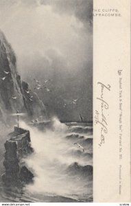 The Cliffs, ILFRACOMBE, 1903; TUCK 861